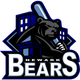 Illustration for article titled Your Disdain for America Will Not Be Tolerated by the Newark Bears